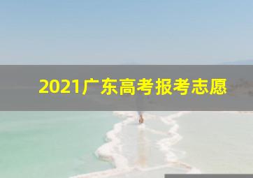 2021广东高考报考志愿