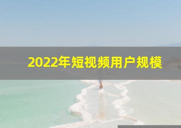 2022年短视频用户规模