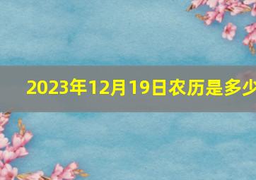 2023年12月19日农历是多少