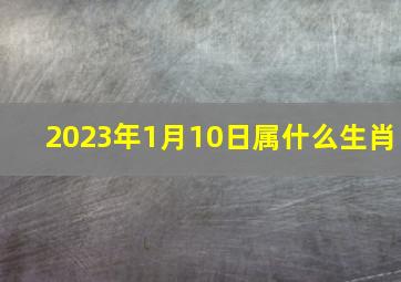 2023年1月10日属什么生肖