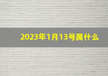 2023年1月13号属什么