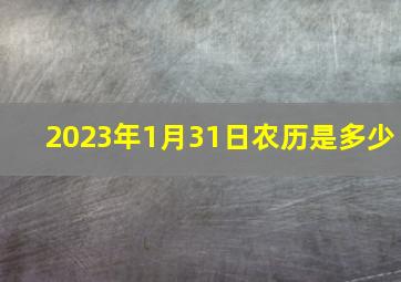 2023年1月31日农历是多少