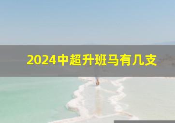 2024中超升班马有几支