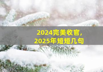 2024完美收官,2025年短短几句