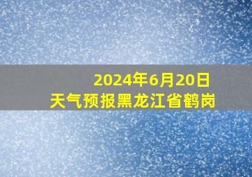 2024年6月20日天气预报黑龙江省鹤岗