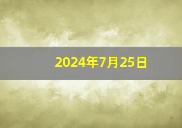 2024年7月25日