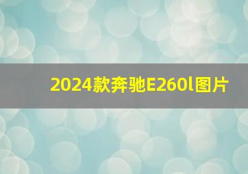 2024款奔驰E260l图片