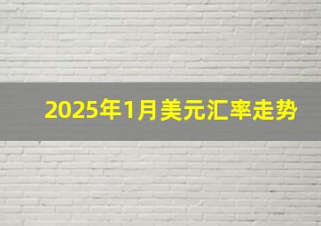 2025年1月美元汇率走势