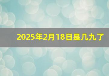 2025年2月18日是几九了