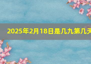 2025年2月18日是几九第几天