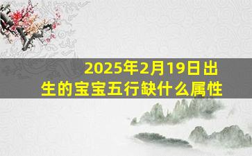 2025年2月19日出生的宝宝五行缺什么属性