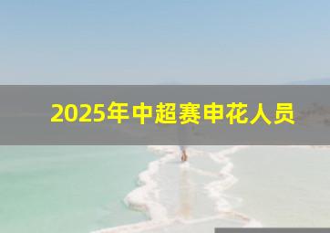 2025年中超赛申花人员