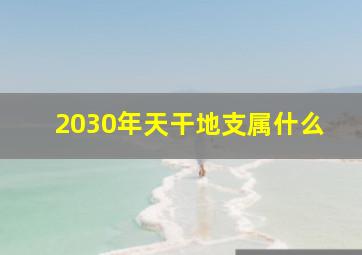 2030年天干地支属什么