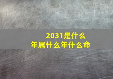 2031是什么年属什么年什么命