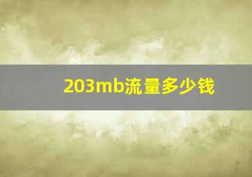 203mb流量多少钱