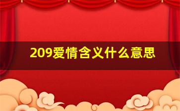 209爱情含义什么意思