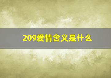 209爱情含义是什么