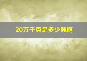 20万千克是多少吨啊