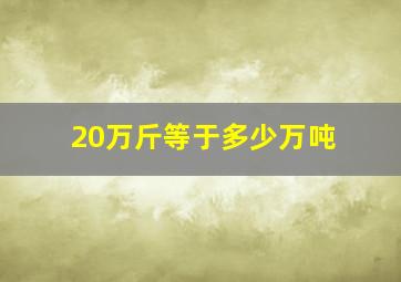 20万斤等于多少万吨