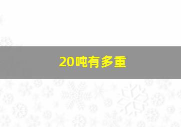 20吨有多重