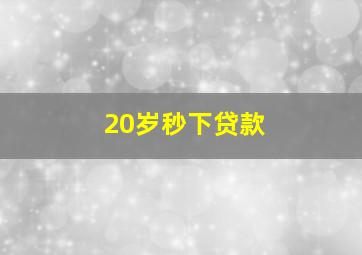 20岁秒下贷款