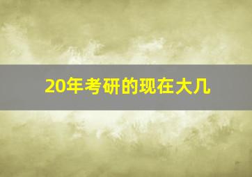 20年考研的现在大几