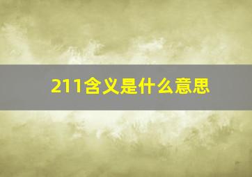 211含义是什么意思