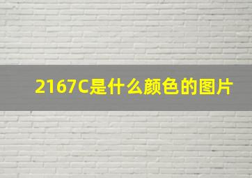 2167C是什么颜色的图片