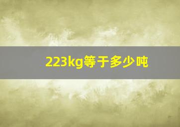 223kg等于多少吨