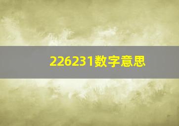 226231数字意思