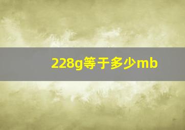 228g等于多少mb