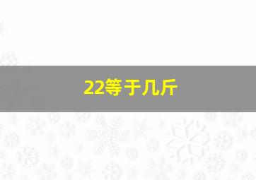 22等于几斤