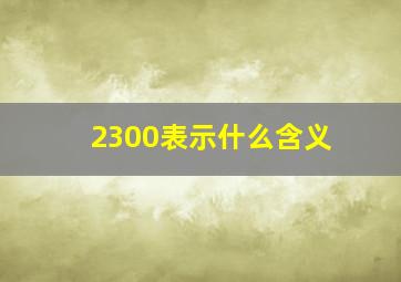 2300表示什么含义