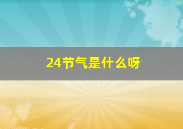 24节气是什么呀