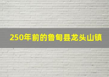 250年前的鲁甸县龙头山镇