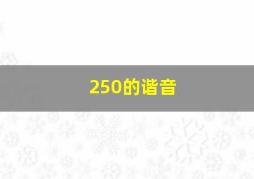 250的谐音