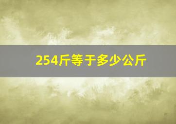 254斤等于多少公斤