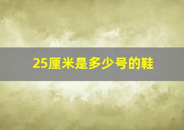 25厘米是多少号的鞋