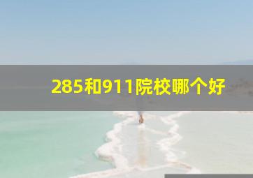 285和911院校哪个好