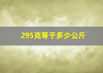 295克等于多少公斤