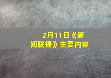 2月11日《新闻联播》主要内容