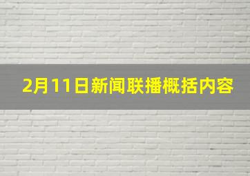 2月11日新闻联播概括内容