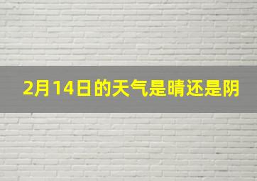 2月14日的天气是晴还是阴