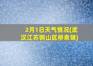 2月1日天气情况(武汉江苏铜山区柳泉镇)