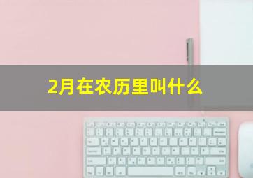 2月在农历里叫什么