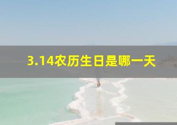 3.14农历生日是哪一天