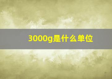 3000g是什么单位