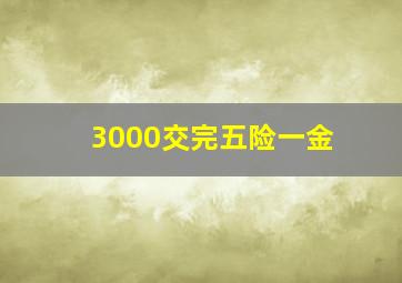 3000交完五险一金