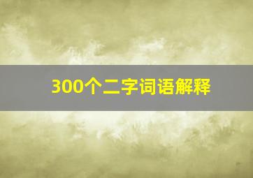 300个二字词语解释