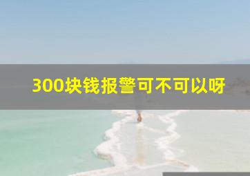 300块钱报警可不可以呀